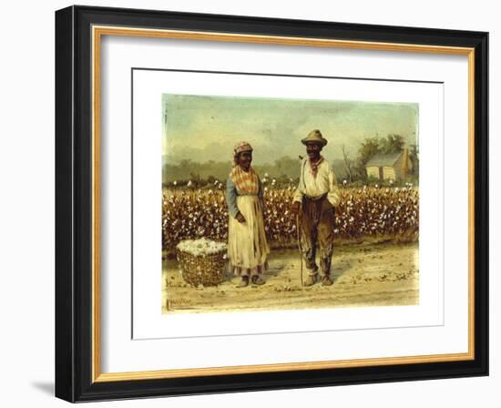 Picked Cotton-William Aiken		 Walker-Framed Giclee Print