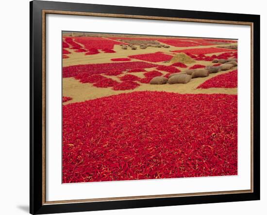 Picked Red Chilli Peppers Laid out to Dry, Rajasthan, India-Bruno Morandi-Framed Photographic Print