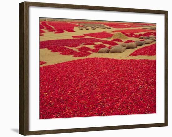 Picked Red Chilli Peppers Laid out to Dry, Rajasthan, India-Bruno Morandi-Framed Photographic Print