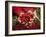 Pickers, Hands Full of Coffee Cherries, Coffee Farm, Slopes of the Santa Volcano, El Salvador-John Coletti-Framed Photographic Print