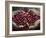 Pickers, Hands Full of Coffee Cherries, Coffee Farm, Slopes of the Santa Volcano, El Salvador-John Coletti-Framed Photographic Print