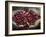 Pickers, Hands Full of Coffee Cherries, Coffee Farm, Slopes of the Santa Volcano, El Salvador-John Coletti-Framed Photographic Print