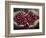 Pickers, Hands Full of Coffee Cherries, Coffee Farm, Slopes of the Santa Volcano, El Salvador-John Coletti-Framed Photographic Print