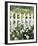 Picket Fence - Fine-Mark Chandon-Framed Giclee Print