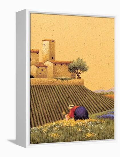 Picking a Bouquet-Lowell Herrero-Framed Stretched Canvas