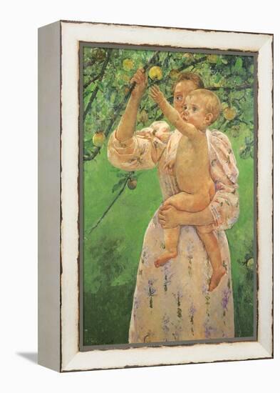 Picking an Apple, 1893-Mary Cassatt-Framed Premier Image Canvas