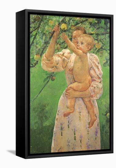 Picking an Apple, 1893-Mary Cassatt-Framed Premier Image Canvas