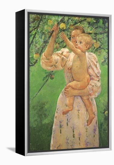 Picking an Apple, 1893-Mary Cassatt-Framed Premier Image Canvas