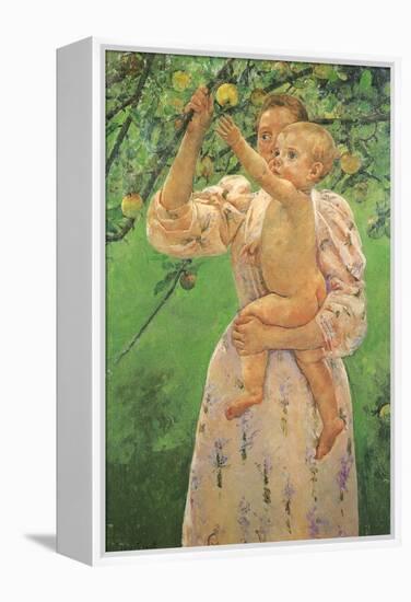 Picking an Apple, 1893-Mary Cassatt-Framed Premier Image Canvas