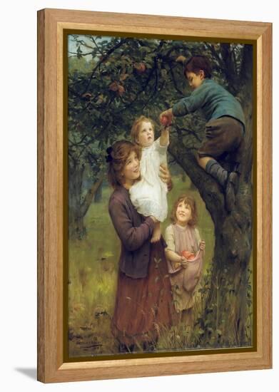 Picking Apples, 1919 (Oil on Canvas)-Arthur John Elsley-Framed Premier Image Canvas