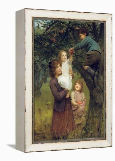 Picking Apples, 1919 (Oil on Canvas)-Arthur John Elsley-Framed Premier Image Canvas