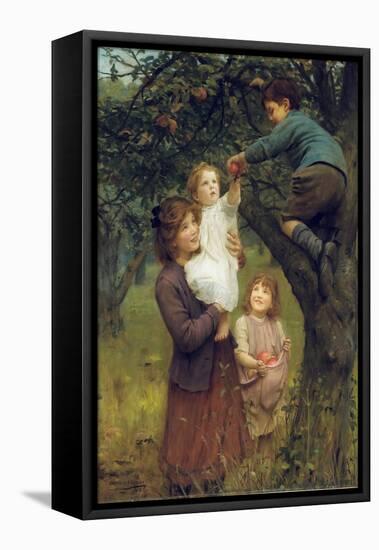 Picking Apples, 1919 (Oil on Canvas)-Arthur John Elsley-Framed Premier Image Canvas