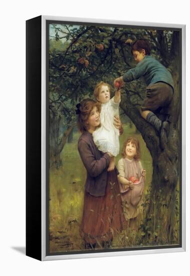 Picking Apples, 1919 (Oil on Canvas)-Arthur John Elsley-Framed Premier Image Canvas