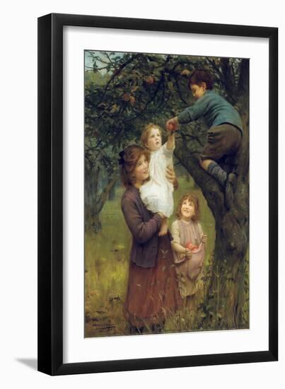 Picking Apples, 1919 (Oil on Canvas)-Arthur John Elsley-Framed Giclee Print