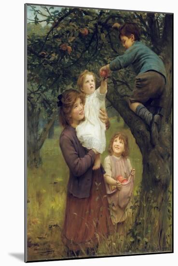 Picking Apples, 1919 (Oil on Canvas)-Arthur John Elsley-Mounted Giclee Print