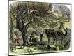 Giclee Print