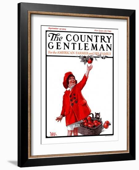 "Picking Apples," Country Gentleman Cover, September 29, 1923-WM. Hoople-Framed Giclee Print