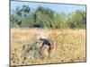 Picking Blackberries, 1989-Gillian Furlong-Mounted Giclee Print