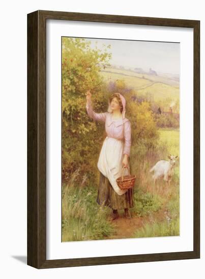 Picking Blossom-William Affleck-Framed Giclee Print