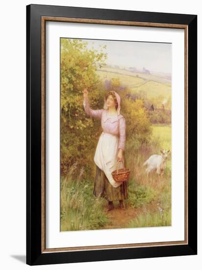 Picking Blossom-William Affleck-Framed Giclee Print