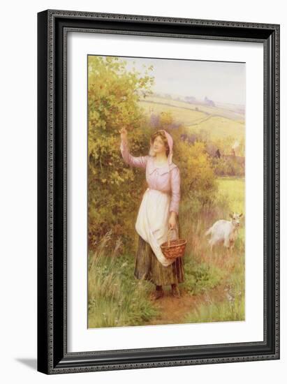 Picking Blossom-William Affleck-Framed Giclee Print