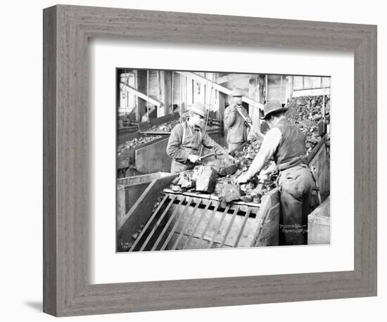 Picking Coal, Franklin Mine, Circa 1902-Asahel Curtis-Framed Giclee Print