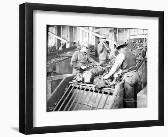 Picking Coal, Franklin Mine, Circa 1902-Asahel Curtis-Framed Giclee Print