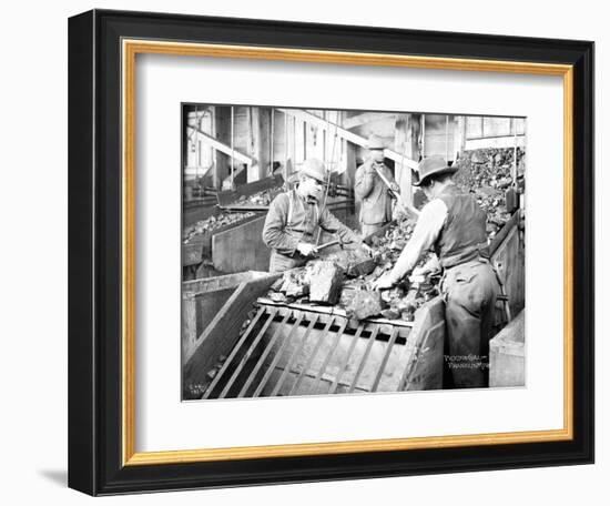 Picking Coal, Franklin Mine, Circa 1902-Asahel Curtis-Framed Giclee Print