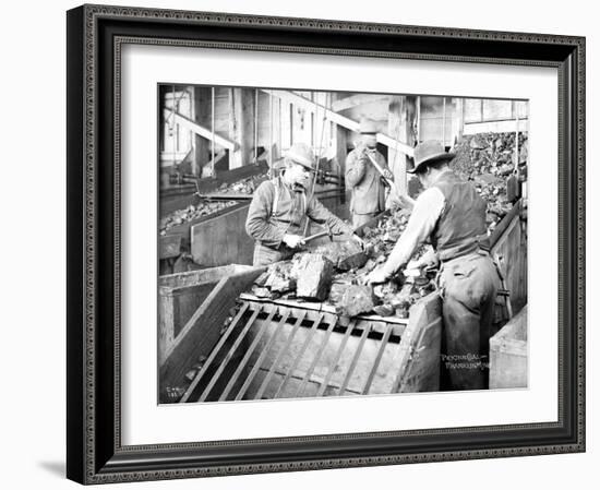Picking Coal, Franklin Mine, Circa 1902-Asahel Curtis-Framed Giclee Print