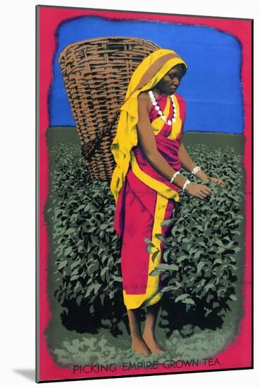 Picking Empire Grown Tea, from the Series 'Drink Empire Grown Tea'-Harold Sandys Williamson-Mounted Giclee Print