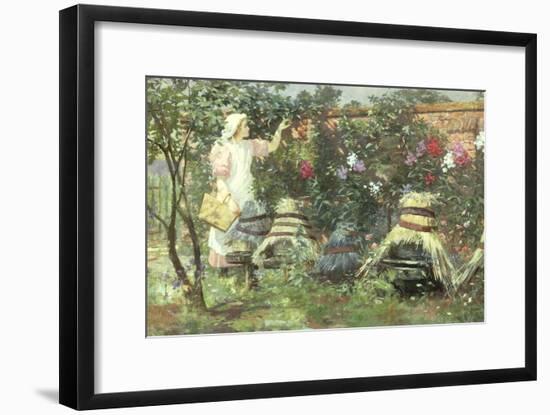 Picking Fruit in a Suffolk Garden-Lexden Lewis Pocock-Framed Giclee Print