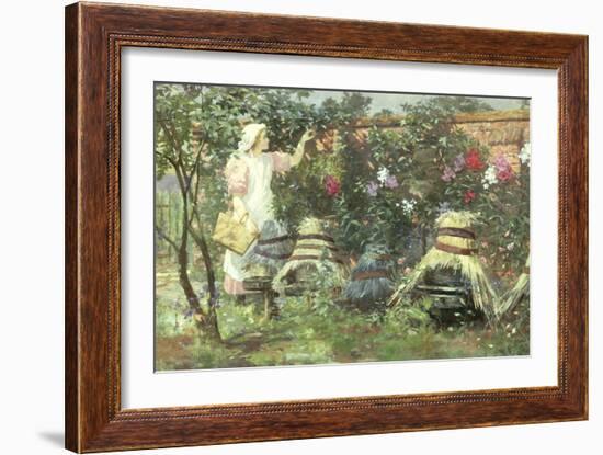 Picking Fruit in a Suffolk Garden-Lexden Lewis Pocock-Framed Giclee Print