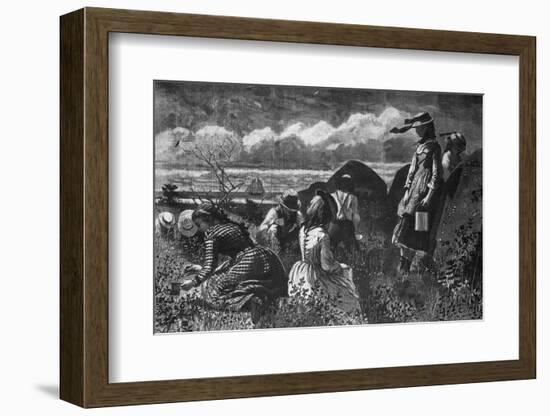 Picking Fruit in America-Winslow Homer-Framed Photographic Print
