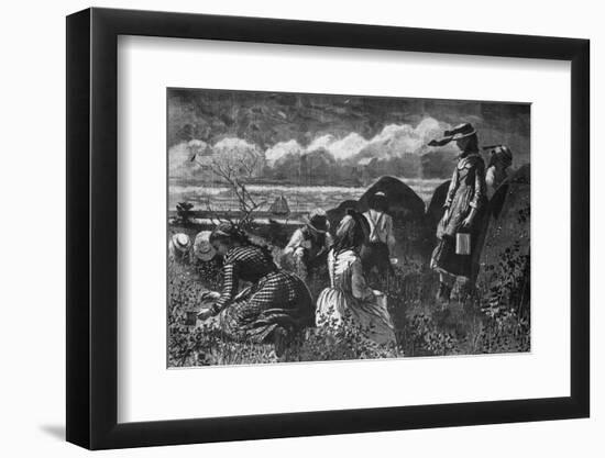 Picking Fruit in America-Winslow Homer-Framed Photographic Print