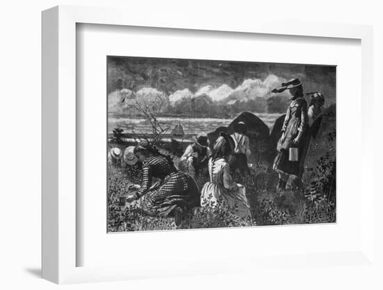 Picking Fruit in America-Winslow Homer-Framed Photographic Print