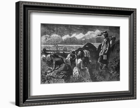 Picking Fruit in America-Winslow Homer-Framed Photographic Print