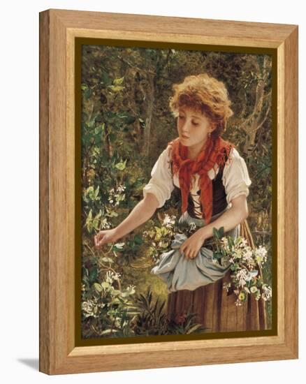 Picking Honeysuckle-Sophie Anderson-Framed Premier Image Canvas