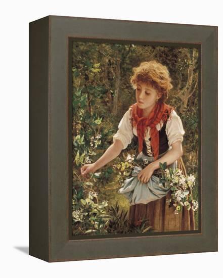 Picking Honeysuckle-Sophie Anderson-Framed Premier Image Canvas