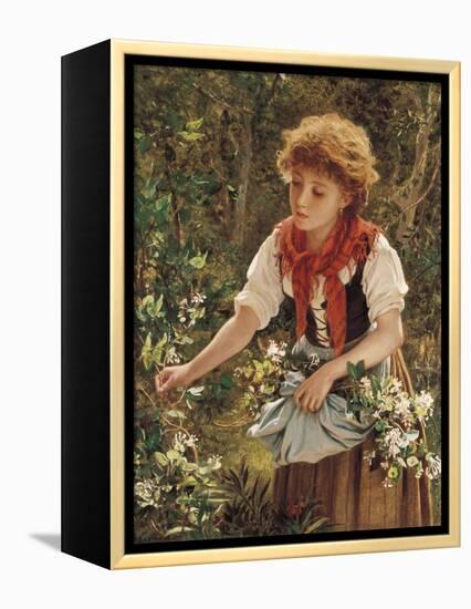 Picking Honeysuckle-Sophie Anderson-Framed Premier Image Canvas