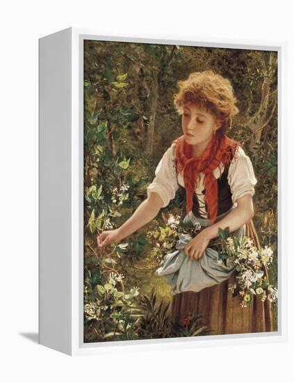 Picking Honeysuckle-Sophie Anderson-Framed Premier Image Canvas