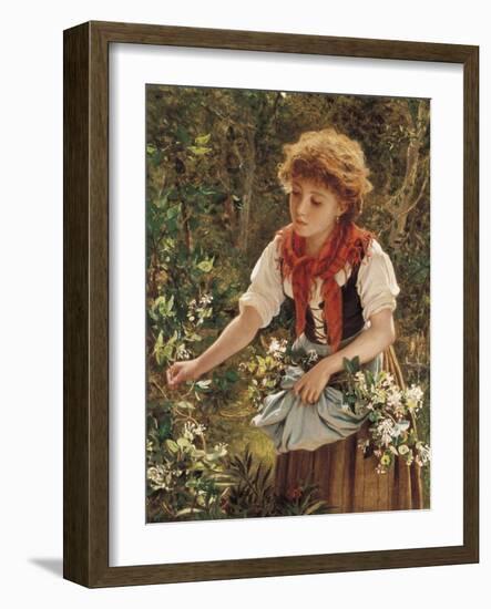 Picking Honeysuckle-Sophie Anderson-Framed Giclee Print