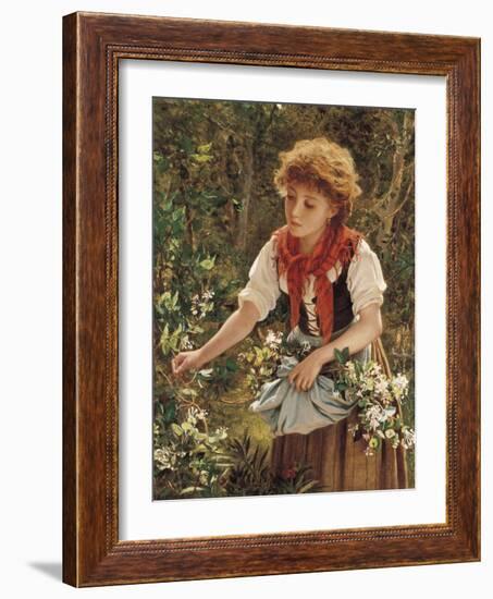 Picking Honeysuckle-Sophie Anderson-Framed Giclee Print