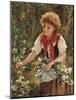 Picking Honeysuckle-Sophie Anderson-Mounted Giclee Print