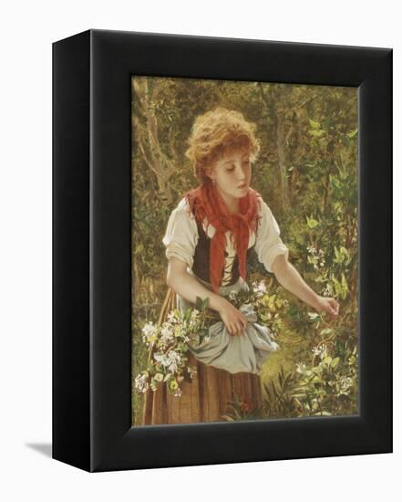 Picking Honeysuckle-Sophie Anderson-Framed Premier Image Canvas