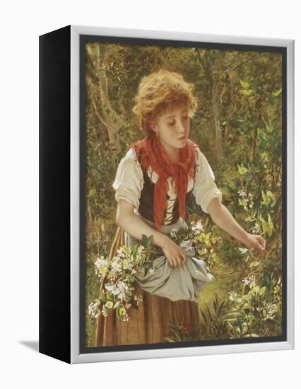 Picking Honeysuckle-Sophie Anderson-Framed Premier Image Canvas