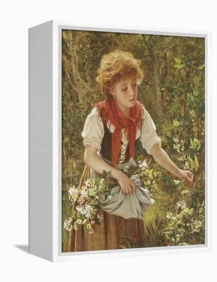 Picking Honeysuckle-Sophie Anderson-Framed Premier Image Canvas