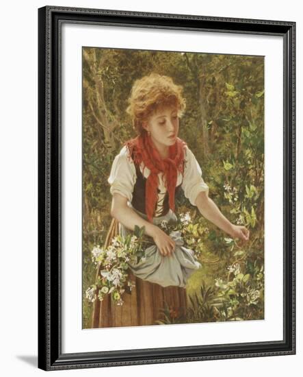 Picking Honeysuckle-Sophie Anderson-Framed Giclee Print