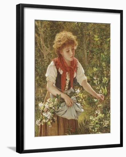Picking Honeysuckle-Sophie Anderson-Framed Giclee Print