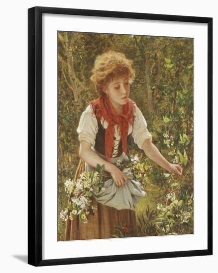 Picking Honeysuckle-Sophie Anderson-Framed Giclee Print