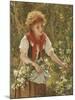 Picking Honeysuckle-Sophie Anderson-Mounted Giclee Print